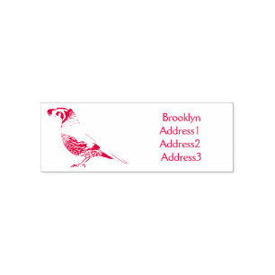 Tampon Auto-encreur Caricature d'oiseau de caille de Californie