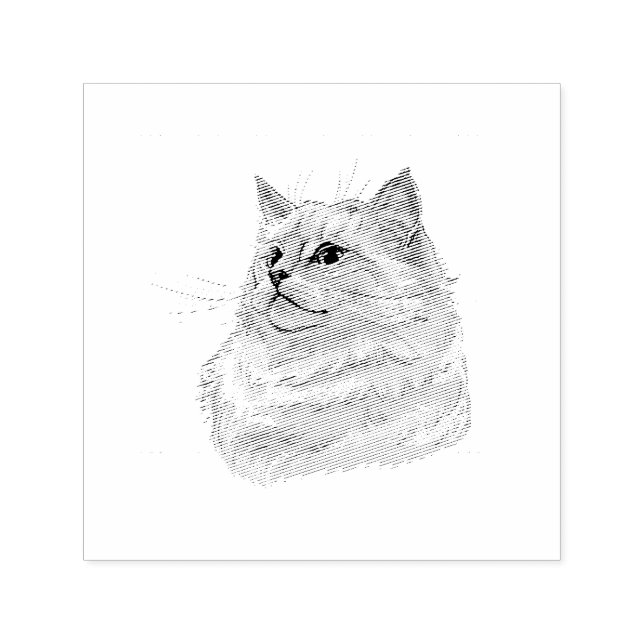 Tampon Auto-encreur Dessin à la main drôle fluffy Ragdoll chat (Design)