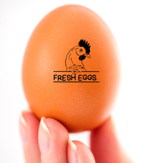 TAMPON AUTO-ENCREUR  FRESH EGGS
