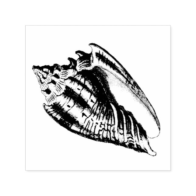 Tampon Auto-encreur Illustration Conch Shell (Design)
