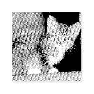Tampon Auto-encreur Kitten