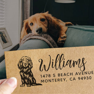 Tampon Auto-encreur Long Haired Dachshund Propriétaire Adresse de reto