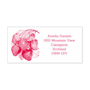 Tampon Auto-encreur Luscieux Été Strawberry Adresse Timbre En Caoutcho