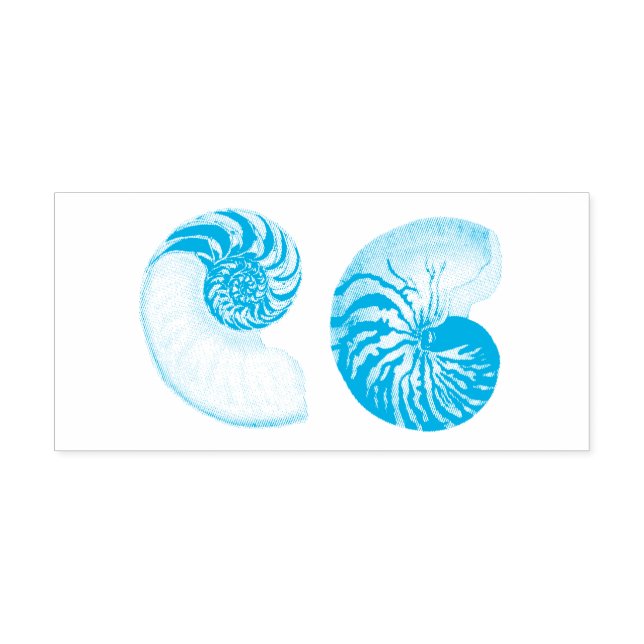 TAMPON AUTO-ENCREUR  NAUTILUS SEASHELL RUBBER STAMP (Design)