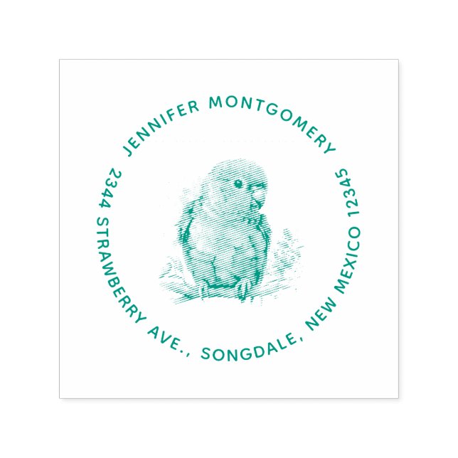 Tampon Auto-encreur Parrot - mignonne Baby Bird Adresse (Design)
