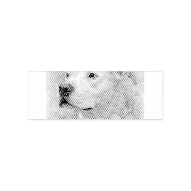 Tampon Auto-encreur Pit Bull Floral Coloré (Design)