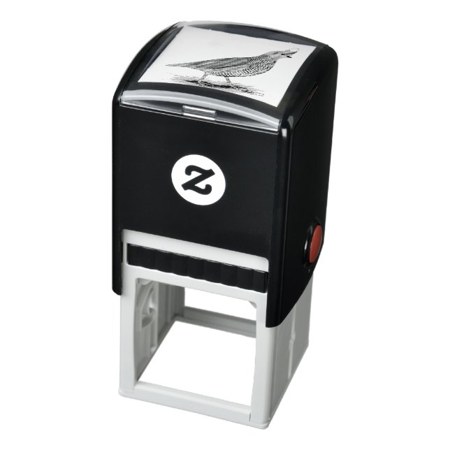 Tampon Auto-encreur Quail à échelle (Produit)