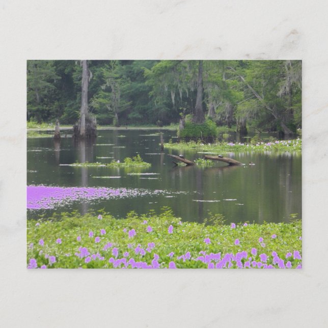 Tampon dans la carte postale violette (Devant)