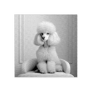 TAMPON EN CAOUTCHOUC CANICHE ROSE
