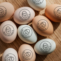 Tampon personnalisé pour œufs de ferme rustique vi