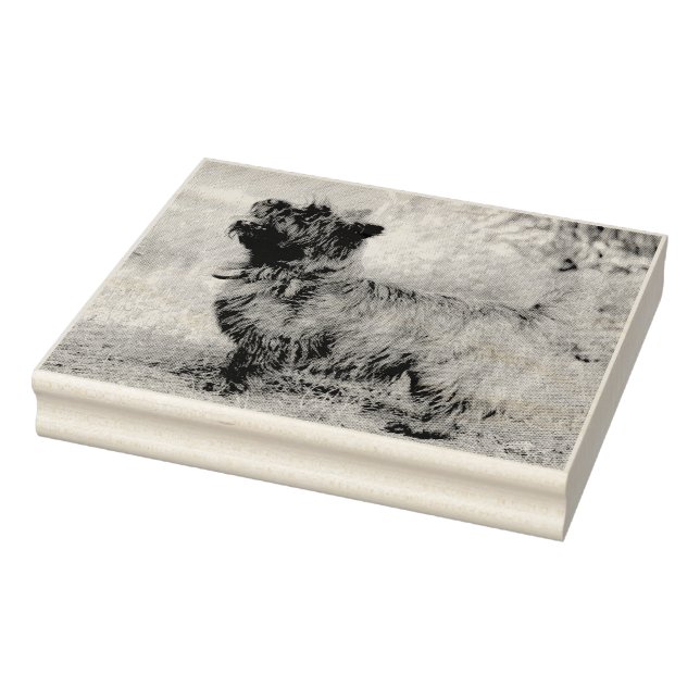 Tampons Encreurs Afficher la fille (Tampon)