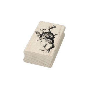 Tampons Encreurs Alice au pays des merveilles