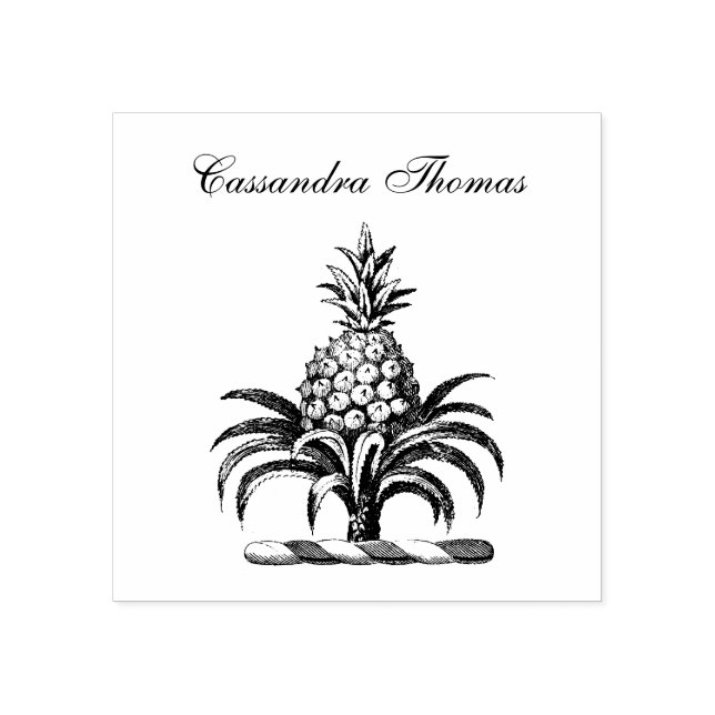 Tampons Encreurs Armoiries de Preppy Heraldic Pineapple Nom de la c (Impression)