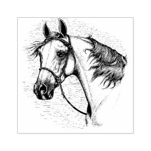 TAMPONS ENCREURS BEAU CHEVAL ARABIEN, PORTRAIT DE TÊTE ÉQUINE