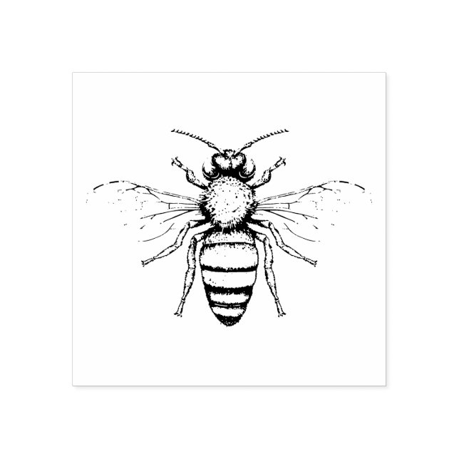 Tampons Encreurs Belle scrapbooking BEE (Impression)