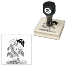 Bouteille d'oiseau Bouteille Vintage scrapbooking