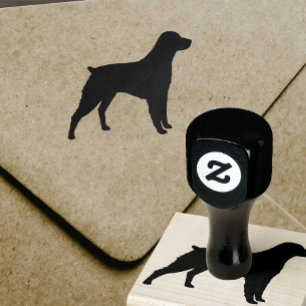 Tampons Encreurs Brittany Spaniel Chien race Silhouette Timbre en c