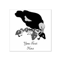 Canard à muscovy et canard