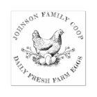 Carton d'oeuf de poulet à la main Vintage