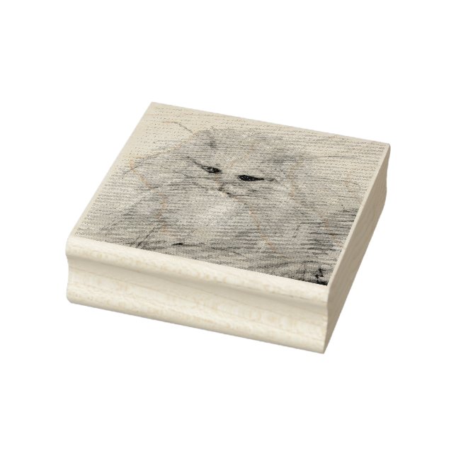 Tampons Encreurs Chat perse (Tampon)