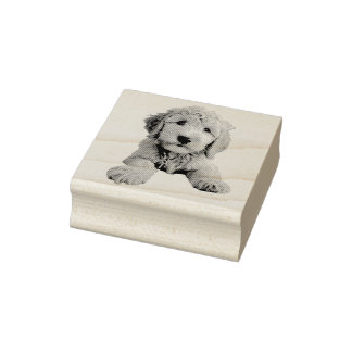 Tampons Encreurs Chiot de Doodle Doré
