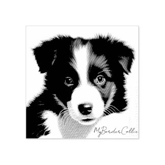Tampons Encreurs Collie Collie Puppy Portrait Gardiens pour animaux