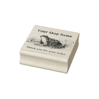 Tampons Encreurs Cottagecore Grenouille Modèle Petite entreprise