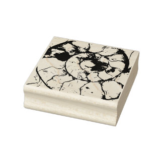 Tampons Encreurs Devonshire Ammonite spirale fossile