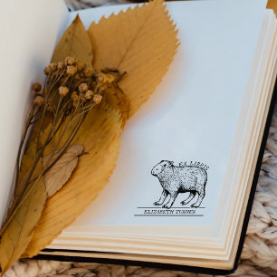 Tampons Encreurs Ex Libris de capybara mignon pour livre
