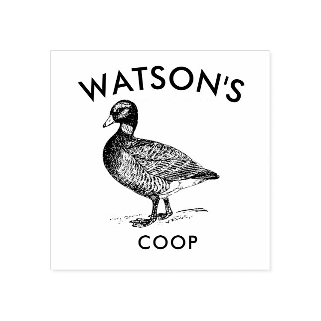 Tampons Encreurs Family Coop | Timbre d'oeuf de canard (Impression)