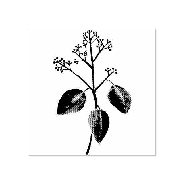 Tampons Encreurs Fleur d'Eucalyptus (Impression)