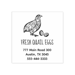Tampons Encreurs Fresh Quail Eggs Return Adresse Téléphone