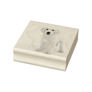 Tampons Encreurs Golden Retriever