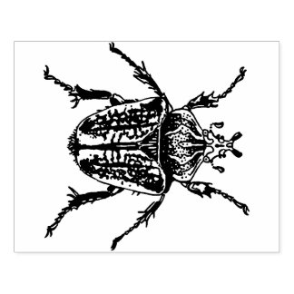 Tampons Encreurs Goliath Beetle