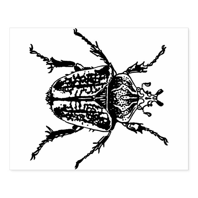 Tampons Encreurs Goliath Beetle (Impression)