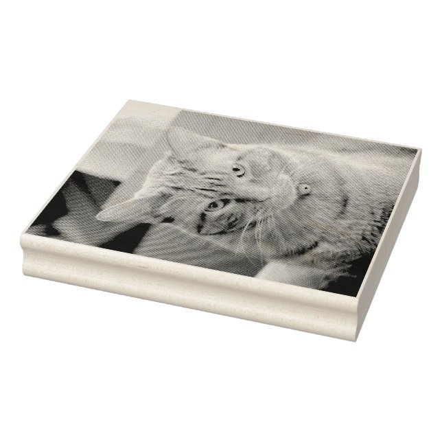 Tampons Encreurs Grave (Tampon)