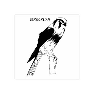 Tampons Encreurs Illustration d'oiseau américain Kestrel