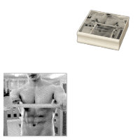 Le torse nu musclé de l'homme de SlipperyJoe's abs
