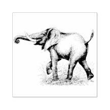 Les animaux éléphants Safari