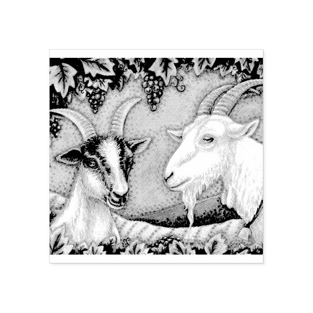 Tampons Encreurs NAPA VALLEY ENFANT & BANDE DE CHÈVRE BILLÉE * Pers (Impression)