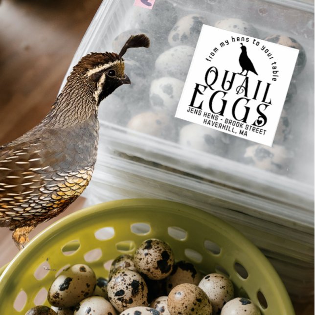 Tampons Encreurs OEUFS PERSONNALISÉS LOGO DE CARTON OEufs de caille (Créateur téléchargé)