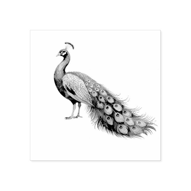 Tampons Encreurs Peacock moderne et tendance (Impression)
