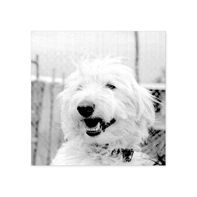 Tampons Encreurs Personalized Custom Pet Photo Etched Style (Impression)