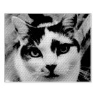 Photo personnalisée