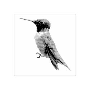 Tampons Encreurs Photographie d'oiseau de colibri à gorge rubis