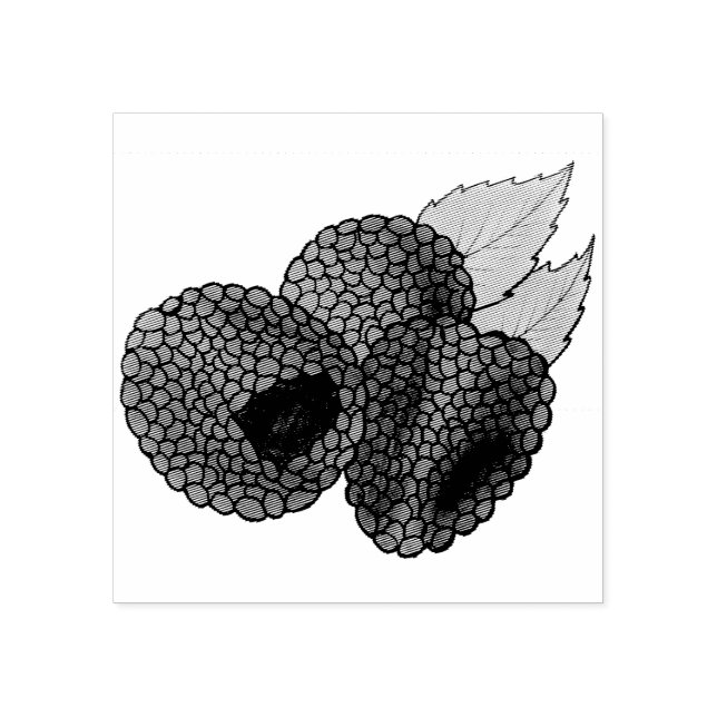 Tampons Encreurs Ripe Fruit Fruit Fruit Fruit Fruit Fruit Été Fraîc (Impression)