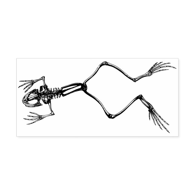 Tampons Encreurs Squelette de grenouille (Impression)