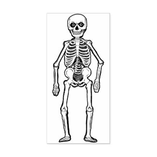 Tampons Encreurs Squelette vintage allemand d'Halloween