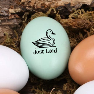 Tampons Encreurs Timbre d'oeuf de mini-canard mignon "juste posé"