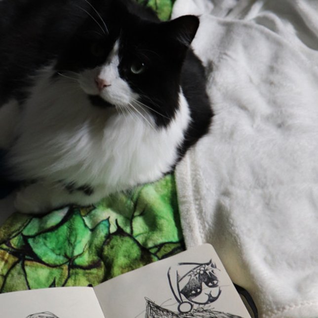 Tampons Encreurs Tuxedo Chat Joyeux Noël (Créateur téléchargé)